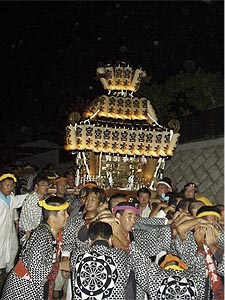 �{���n��S