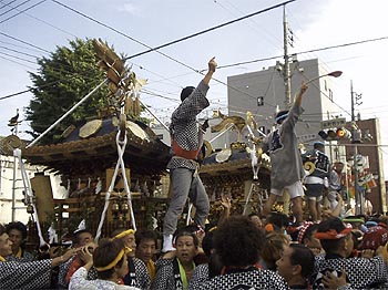 �R����񂾁I�I