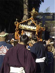 �����o����