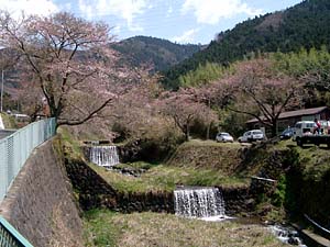 �L���Ȏ��R