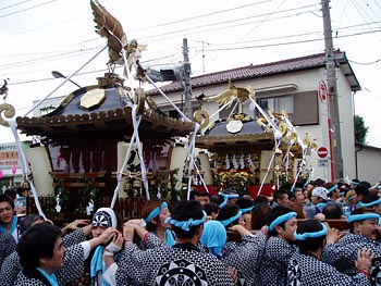 �O�����