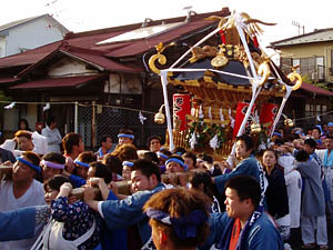 �����ɋP���_�`