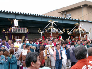 �������O