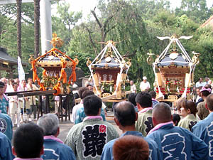 �������O