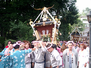 �U��������