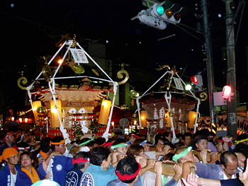 �p���[�h���i�R