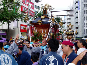 �k���@�n�䕗�i�P