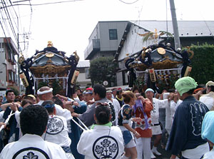 �_�����O�Q