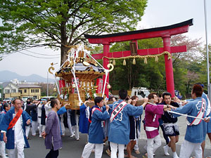 ������בO