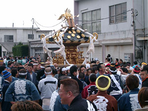 �C�_�r���Q