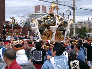 �C�_�r���P