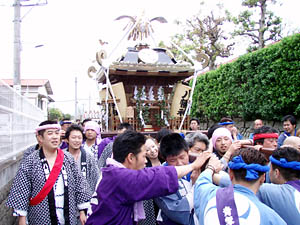 �{�{�N��