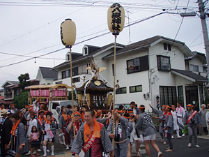 �O����n��P