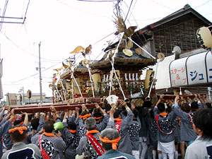 �O�������