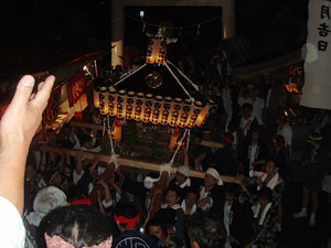 �{�����i�Q