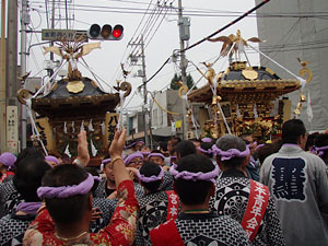 �l�c�p�n�䕗�i�P