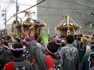 �l�c�p�n�䕗�i�Q