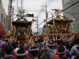 �l�c�p�E�������i�P