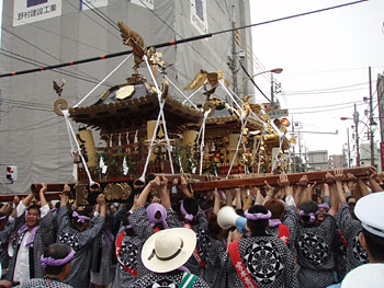 �l�c�p�E�������i�Q