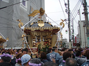 �l�c�p�E�n�䕗�i�T