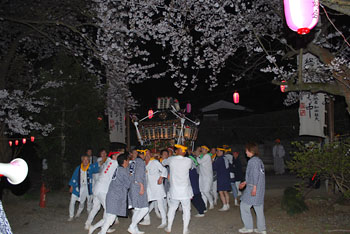 �{�����i�P