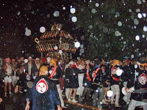 ���J���̓n�䕗�i�P