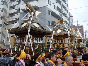 �{���l�c�p�ɂĂP