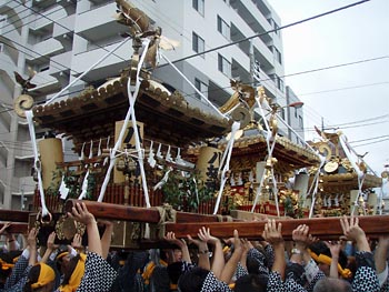 �{���l�c�p�ɂĂQ