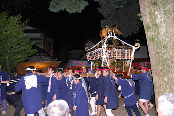 �{���n��T