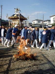 �_�����ł̓n�䕗�i�P