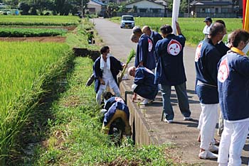 �_���̖͗l�R