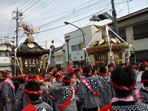 ������ԑg���{�{