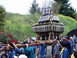 �؂̉Ԃ��o�b�N��