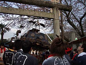 �{�����i�P