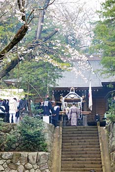 ���T���i