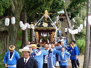 �{�o�����i�T