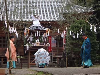 ���T���i�P