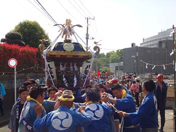 �������i�S