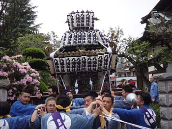 ���{ �n�䕗�i�P