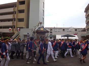 ����Βc�n�_�����Q