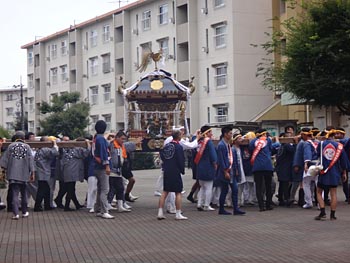 ����Βc�n�_�����P