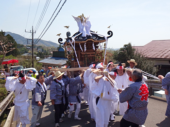 �x�V���������{�C���_�` �n�䕗�i�T