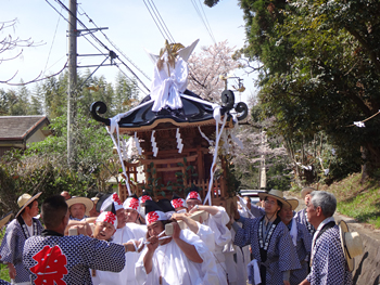 �x�V���������{�C���_�` �n�䕗�i�P