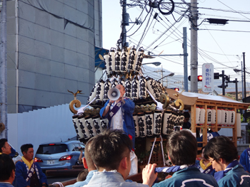 ����A���������O