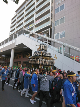 ���K�����_�Џ��{ ���c�}���`��w�k���n�䕗�i�Q