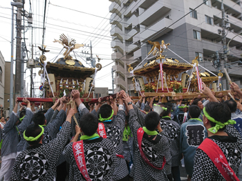 �O�ҍ����n�䁗�{���l�c�p�����_�P