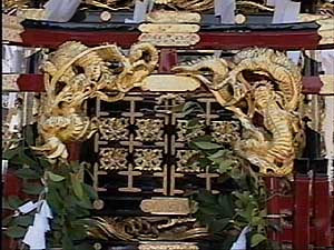 ���������g��