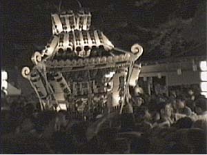 �������i�S